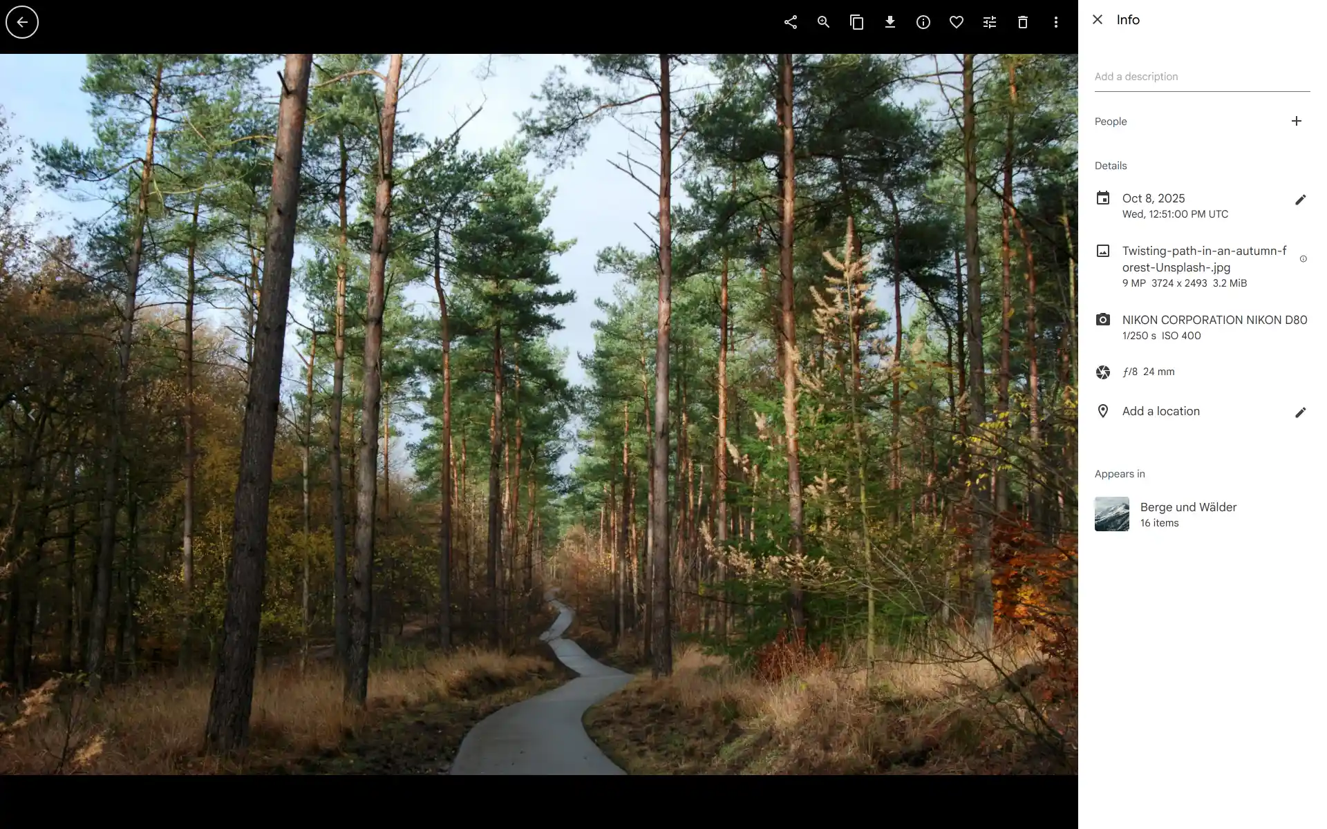 Immich, screenshot 2